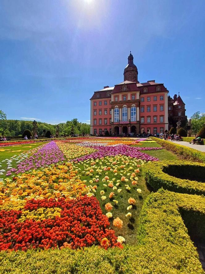 Zamek Książ. Festiwal kwiatów 2024