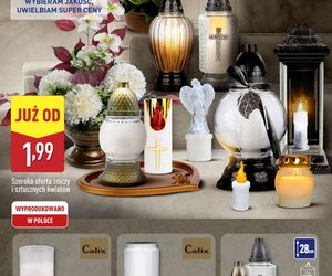 Aldi na Wszystkich Świętych