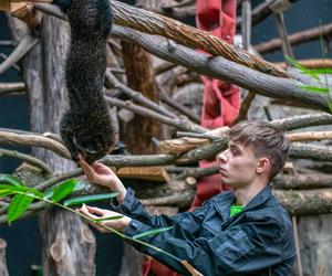 Pokazowe karmienia w Orientarium Zoo Łódź