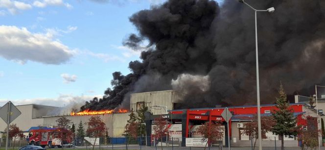 Pożar w Piotrkowie Trybunalskim