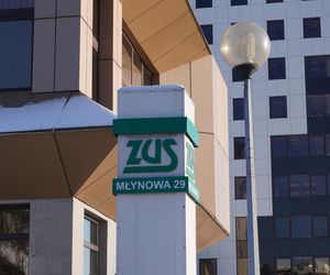 To świadczenie ZUS wypłaci ci przez dwa lata. Spore pieniądze dla pracujących!