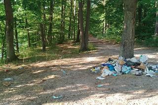 Tak wygląda dzika plaża w Smukale