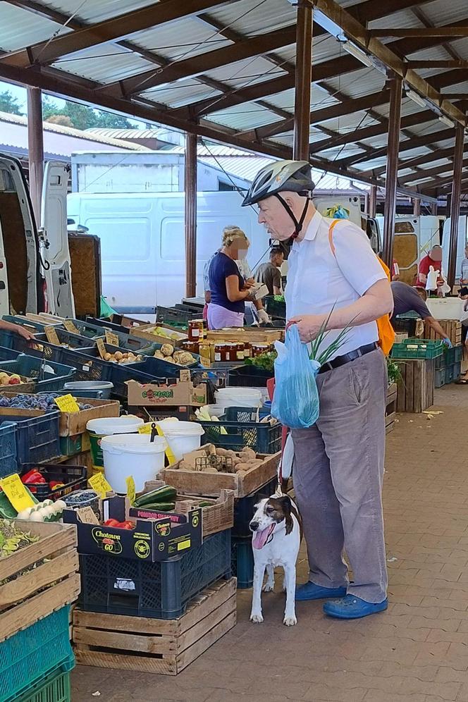 Korwin-Mikke na zakupach