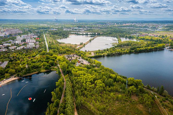 Katowice drugim najbardziej zielonym miastem w Polsce!