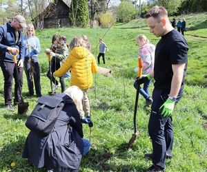 Małopolska dla klimatu. Posadź drzewo dla przyszłych pokoleń!