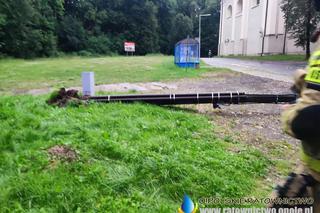 Burza na Opolszczyźnie. W Kędzierzynie-Koźlu wielkie zniszczenia