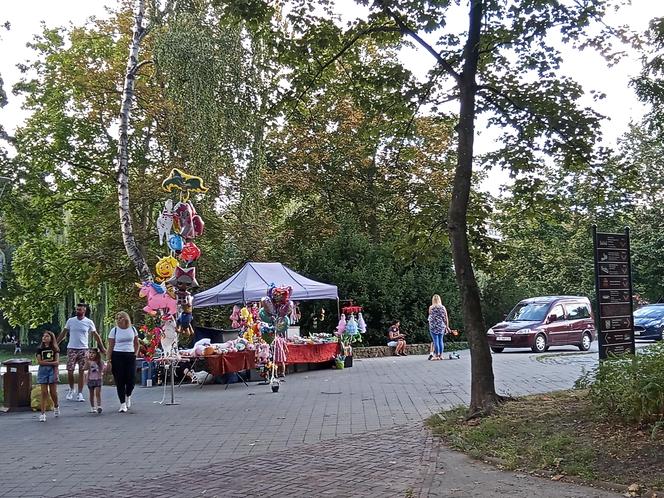 Ostatnia niedziela lata 2023 w Kielcach. Tłumy w centrum miasta