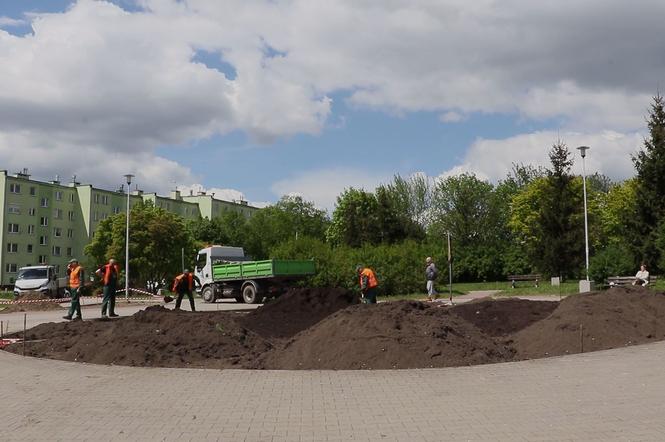 W Kielcach urządzają ogród, który pobudzi zmysły
