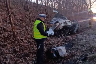 Sopieszyno. Audi roztrzaskało się na drzewie. 36-latek nie miał szans na przeżycie