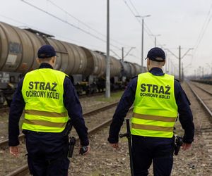 Mężczyzna potrącony przez pociąg towarowy. Cały czas był przytomny
