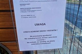 Zielone przystanki na al. Wyzwolenie