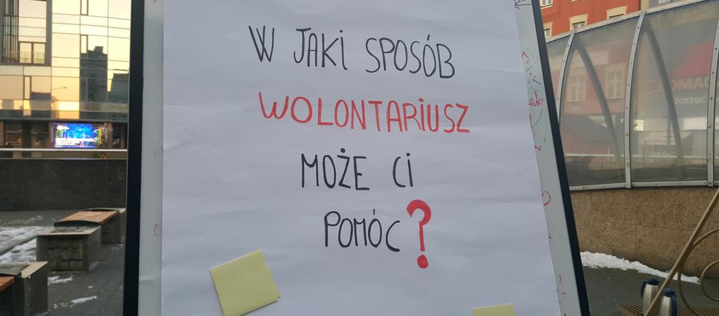 Międzynarodowy Dzień Wolontariatu w Sosnowcu 