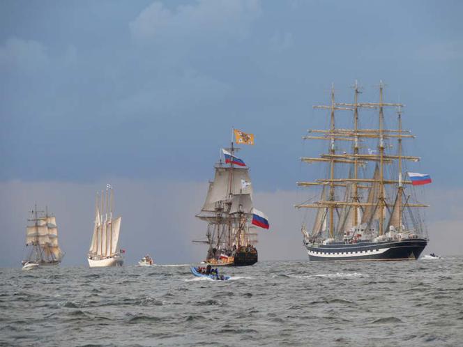 ParadaZagleGdyni2014_FotMZwierz_710369