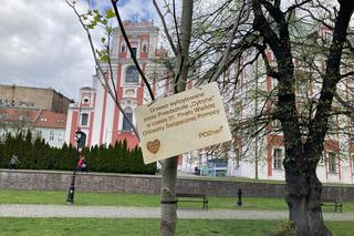 Dzieci z prezydentem Poznania posadziły drzewo. To akcja w ramach  Wielkiej Orkiestry Świątecznej Pomocy
