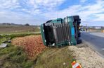 Przewrócona ciężarówka zablokowała rondo. 30 ton jabłek na drodze