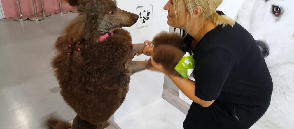 Targi PET EXPO 2019 w Bydgoszczy 