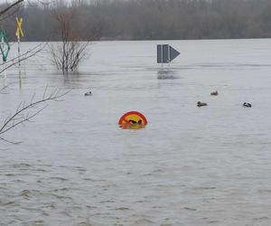 Wysoki stan Wisły w Fordonie. Pod wodą są śmietniki, ławki i donice na bulwarze