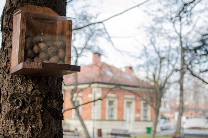 Władze Uniwersytetu Ekonomicznego w Krakowie przygotowały inwestycje dla małych i dużych