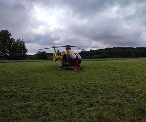 Wypadek pod Radomskiem. Bus wbił się w drzewo! Sześć osób w szpitalu, droga zablokowana