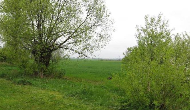 Małachowo Złych Miejsc. Czy to naprawdę... złe miejsce?
