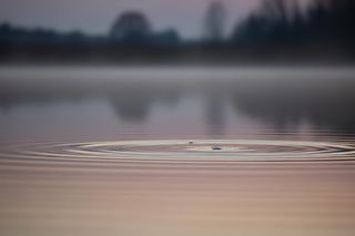 Skoda w stawie w Borkach Wielkich. Co uratowało kierowcę z tonącego pojazdu?