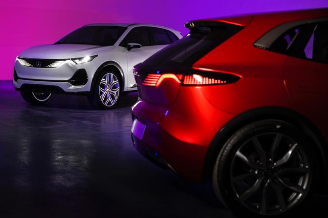 Polski samochód elektryczny Izera ma kłopoty. Niemcy rezygnują ze współpracy przy produkcji