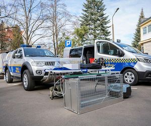 W Olsztynie powstał pierwszy eko-patrol. Kiedy zacznie działać i jakie ma obowiązki?