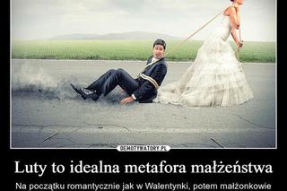 Tłusty Czwartek - MEMY