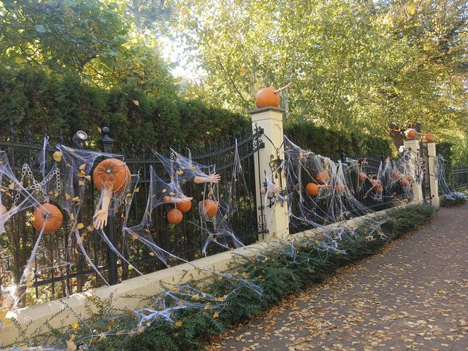Willa na Jaśkowej Dolinie w Gdańsku znów straszy! Tegoroczny motyw Halloween budzi niepokój