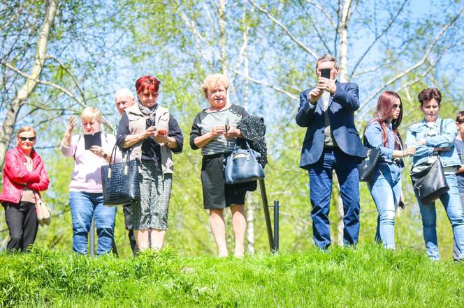 Sosnowiec świętował 19 lat w Unii Europejskiej
