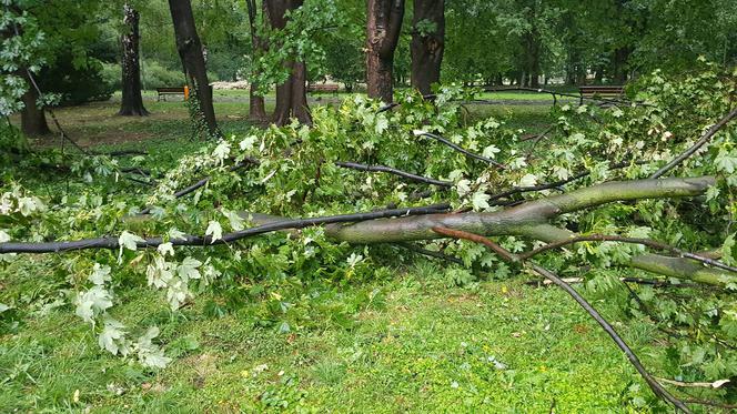 Skutki burzy w Rzeszowie