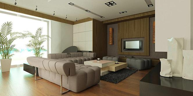 Architektura wnętrz salonu