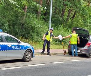 Potrącenie pieszego na ulicy Ostrowieckiej w Starachowicach