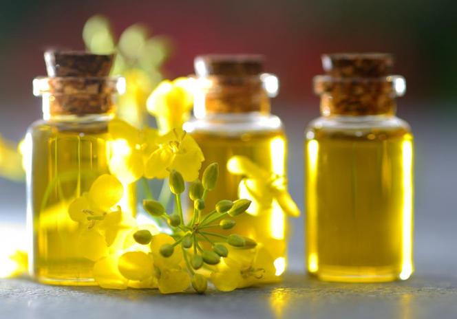 Prawdy i mity o tłuszczach okiem eksperta - jakie tłuszcze wybrać