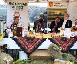 Dożynki wojewódzkie 2025 w Świdniku