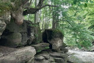 Rezerwat przyrody Sine Wiry 