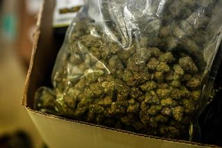 Nowy Jork na wojnie z nielegalną trawką