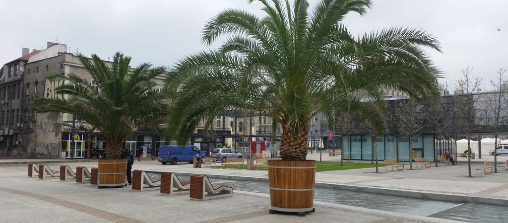 Katowickie Las Palmas