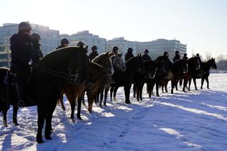 Warszawa: konie w policyjnej służbie