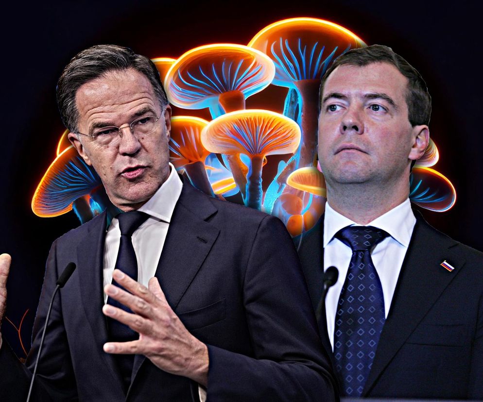 Szef NATO mówi, jak zacznie się wojna światowa. Rosjanie na to o grzybach halucynogennych!