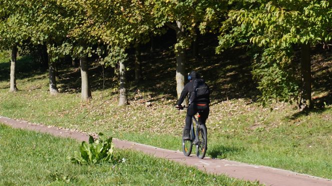 Filary porośnięte bluszczem w Lublinie! Tak się prezentują w jesiennej odsłonie