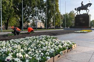 Lublin zmienia ubarwienie na jesień. Ulice ozdobią różnokolorowe bratki