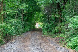 Na Księżym Młynie powstaje nowa droga rowerowa