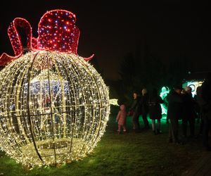  „Laboratorium Światła” w Lumina Parku w Lublinie w sezonie 2024/2025