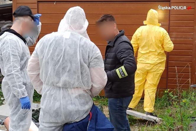 Tomasz M. porwał chłopca już w 2008 roku. Mama Dawidka przerywa milczenie! "W piwnicy robił mu zdjęcia nago"