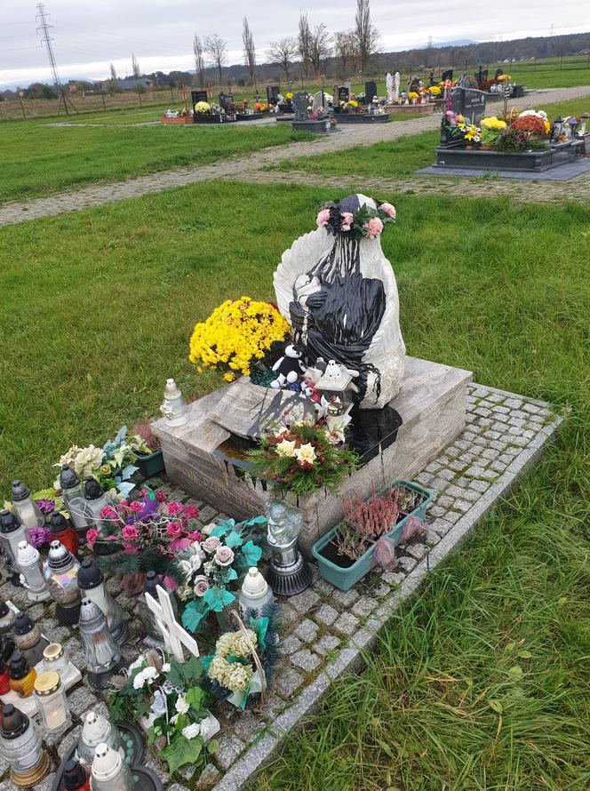 Śląskie: Ktoś zniszczył pomnik dzieci nienarodzonych. Wandale oblali pomnik smołą [ZDJĘCIA]