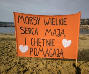 Charytatywne morsowanie w Osiecznej 