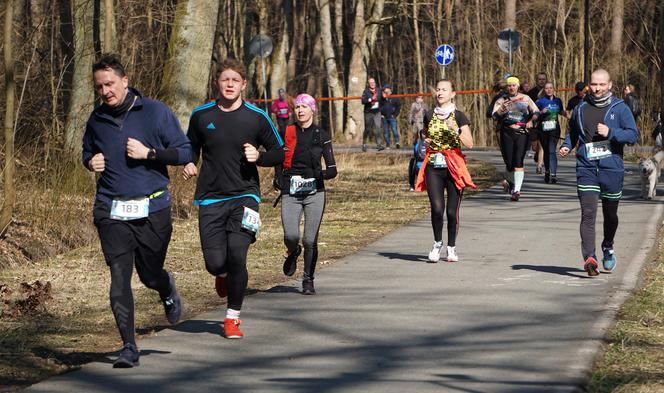 Bieg City TRAIL 2022 w bydgoskim Myślęcinku [GALERIA 20.03.2022]