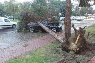 Skutki burzy w Rzeszowie