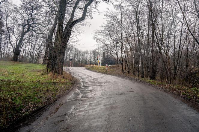 Ulica Liściasta w Łodzi zostanie przebudowana